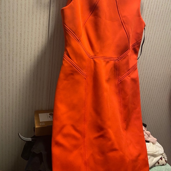 Dress - Picture 5 of 5